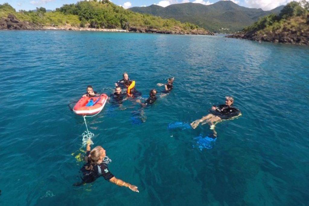 Snorkeling guadeloupe réserve cousteau