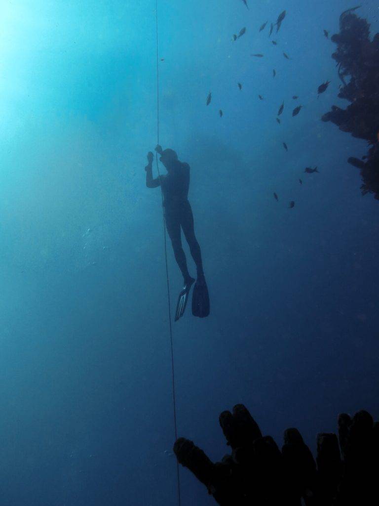 Plongée sans bouteille - Guadeloupe