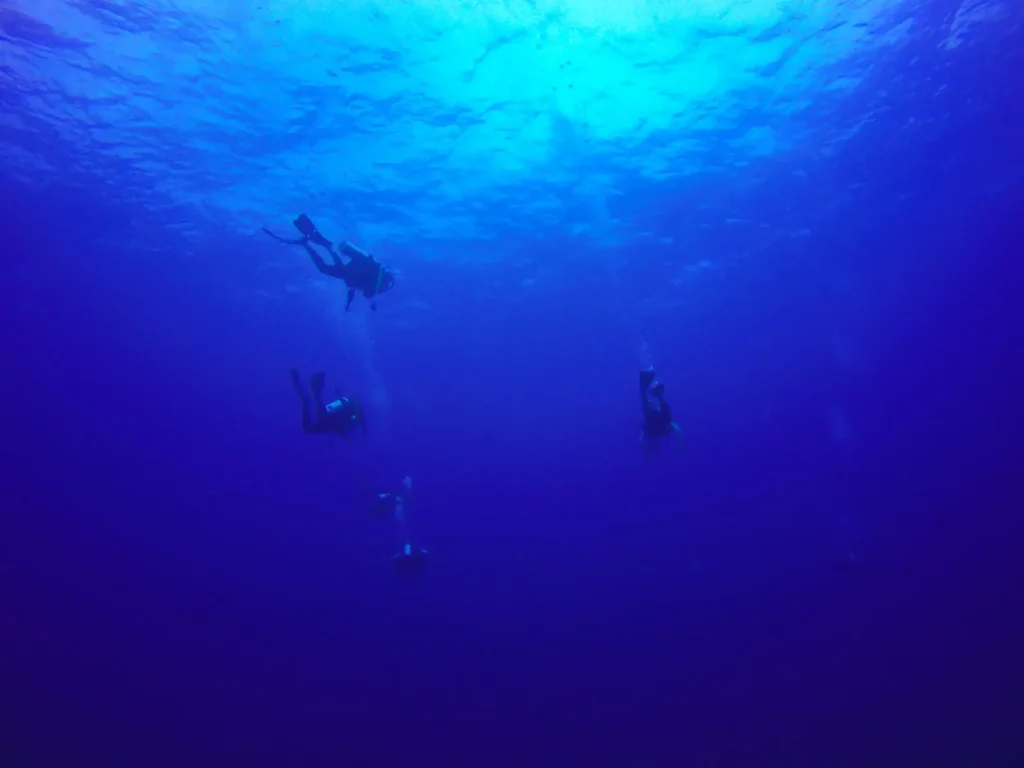 Exploration de la réserve Cousteau - Guadeloupe