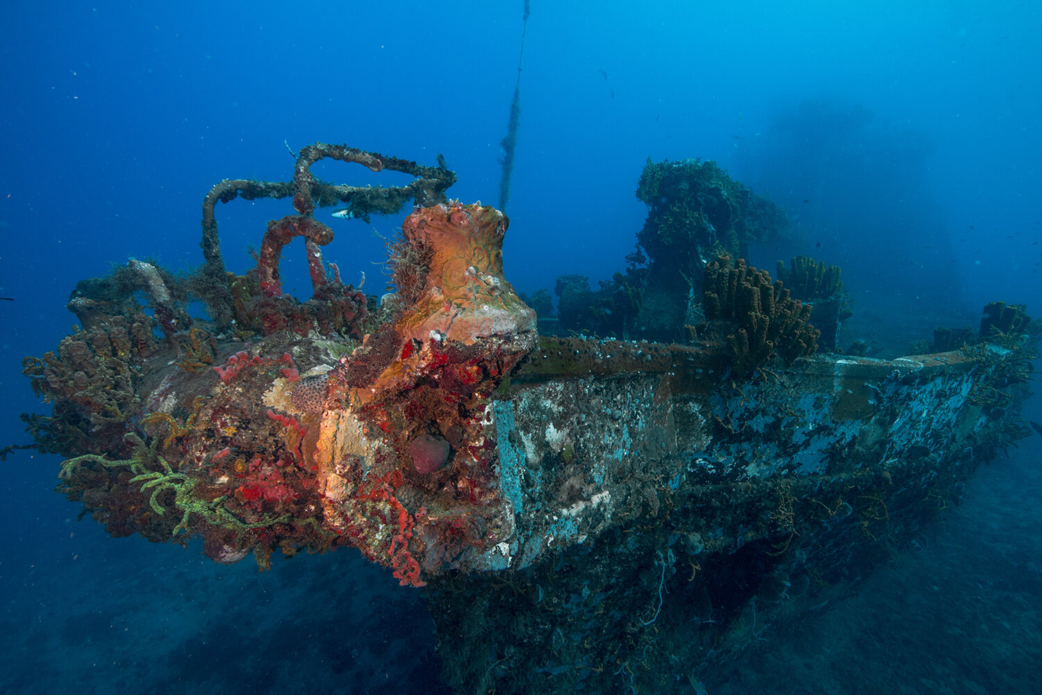 Exploration des épaves - Le Gustavia